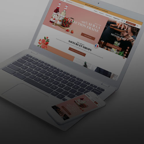 projet-monin-vignette